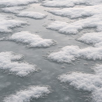 Shallow puddles and wet snow on late winter lake ice